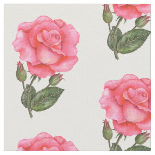 Tecido Rosas Rosa-D-Água Arte Floral
