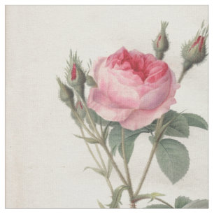 Tecido Rosas rosas pálido do vintage que pintam a matér
