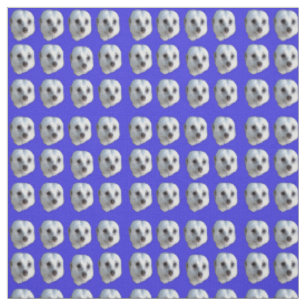 Tecido Rostos de Suricata Brancos em Azul,