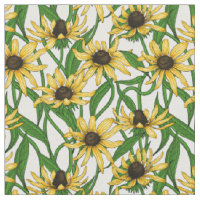 Rudbekia amarela em branco