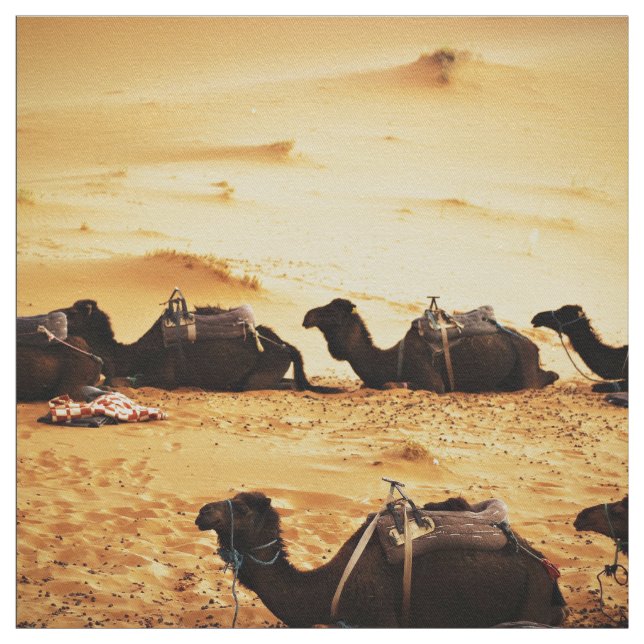 Tecido Sahara temático, formação dos camelos na areia (Modelo)
