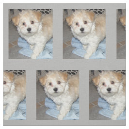 Tecido Salvamento Puppt de Havanese