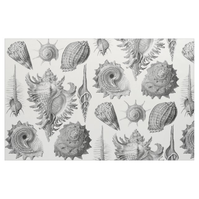 Tecido Seashells do vintage (Fat Quarter)