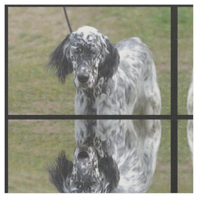 Tecido Setter inglês preto e branco doce (Detalhe)