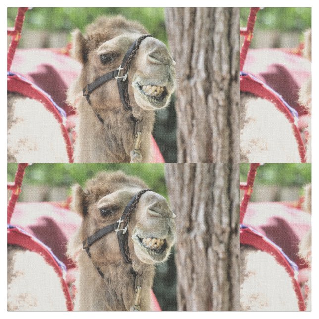 Tecido Sorria (Detalhe)