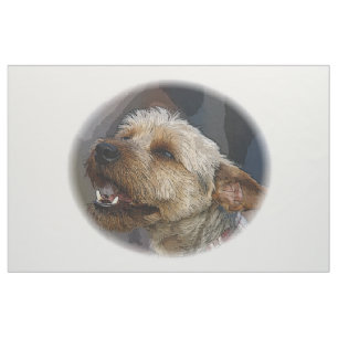 Tecido Sorrindo a cruz de Terrier de beira