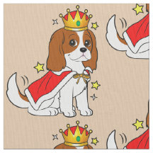 Spaniel de rei Charles descuidado