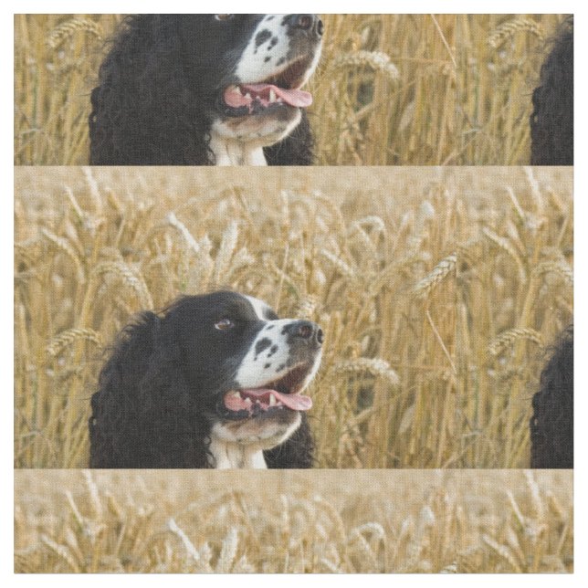 Tecido spaniel de springer inglês em wheat.png (Detalhe)