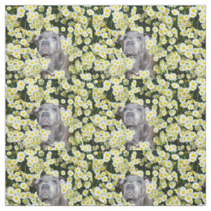 Tecido Staffordshire Bull Terrier E Daisies,