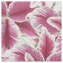 Stargazer Lilly