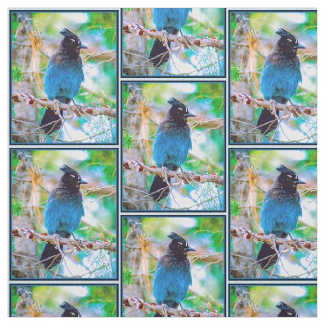Tecido Steller's Jay - Fotografia original (Modelo)