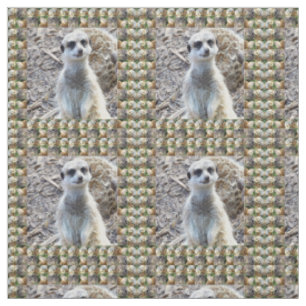 Tecido Suricata Feliz Em Uma Moldura De Fotos De Suricata