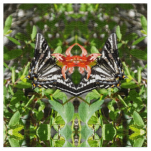 Tecido Swallowtail de Contos