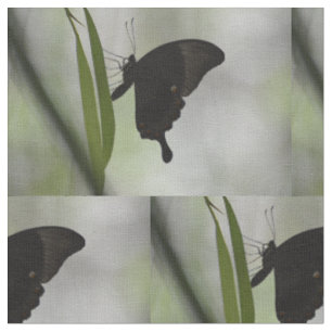Tecido Swallowtail preto