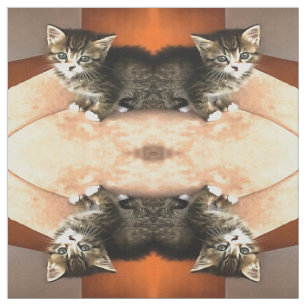 Tecido Tabby Cat Kitten Pet Retrato