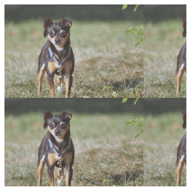 Tecido Taco (Detalhe)