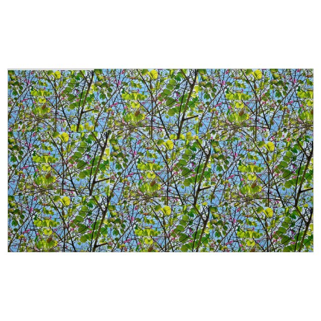 Tecido Tecido: Algodão (58" de largura) (Fat Quarter)