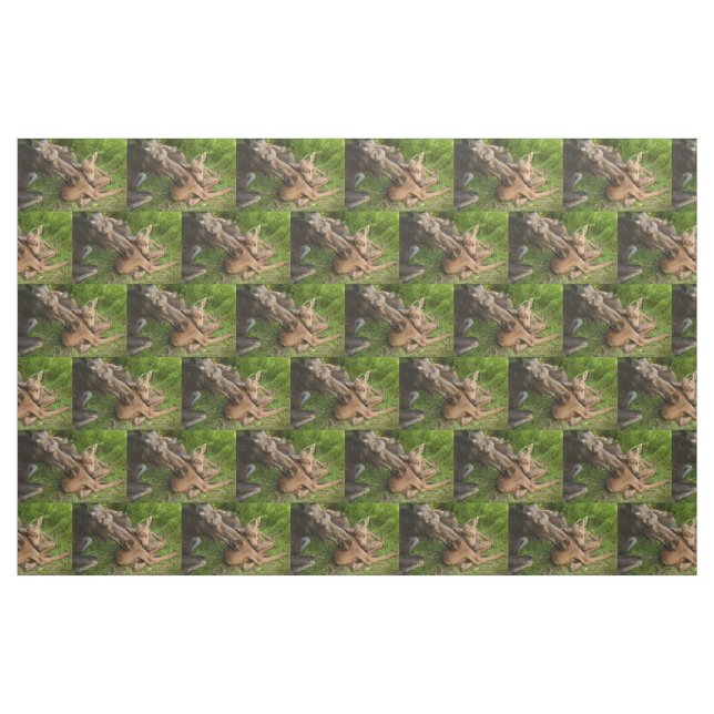 Tecido Tender Madre Moose (Fat Quarter)