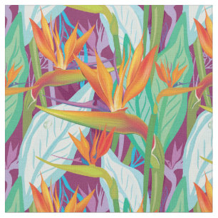 Tecido Teste padrão do Strelitzia
