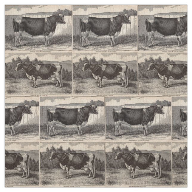 Tecido Touro de Holstein do impressão e impressão do (Modelo)