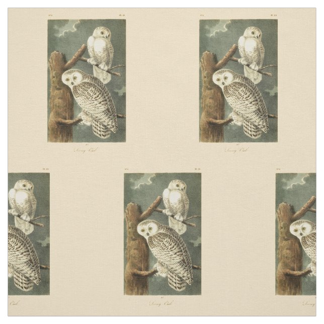 Tecido Trabalho de arte de Snowy Owl Audubon (Modelo)