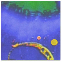 Tecido Transcendental Verdadeiro