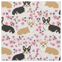 três cadelas de corgi flores de cereja rosa