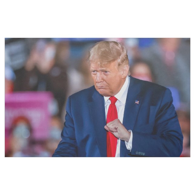 Tecido Trump Dance Engraçado (Jarda)