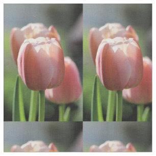Tecido Tulipa cor-de-rosa