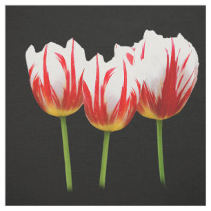 Tecido Tulipas de Folha Elegante de Maple