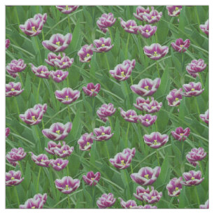 Tecido Tulipas roxas e brancas