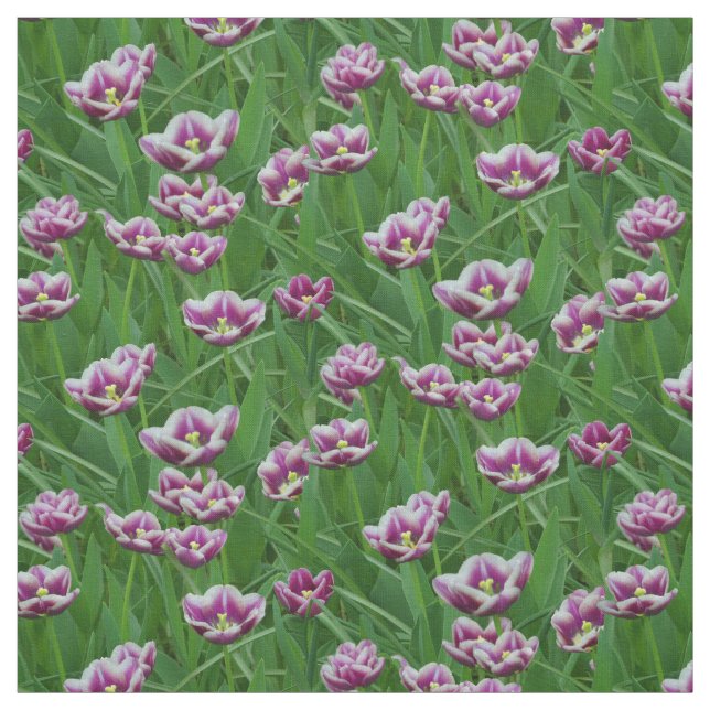 Tecido Tulipas roxas e brancas (Modelo)