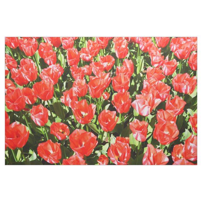 Tecido Tulipas vermelhas (Jarda)