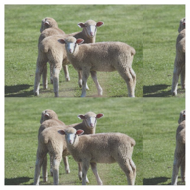 Tecido Turistas (Detalhe)