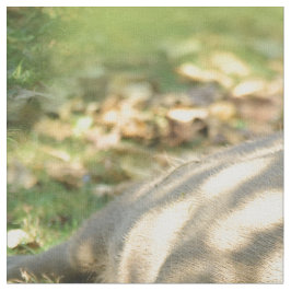 Tecido Uma bela Capybara Sonha no Sol de Verão