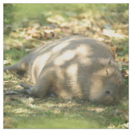Tecido Uma bela Capybara Sonha no Sol de Verão