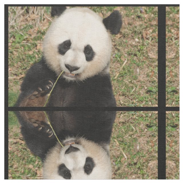Tecido Urso de panda gigante bonito (Detalhe)