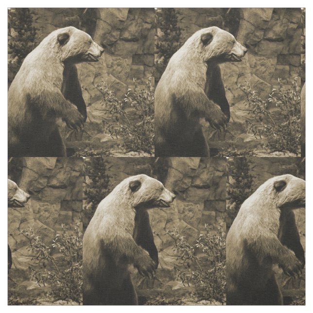 Tecido Urso Ordenado (Modelo)