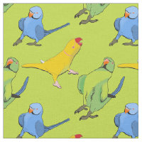 Verde limão Papagaio Playful Indiano Ringneck Patt