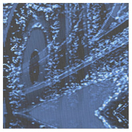 Tecido Vida Noturna.......