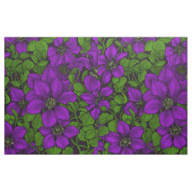 Vinha-púrpura Clematis