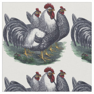Tecido Vintage Chicken Trio