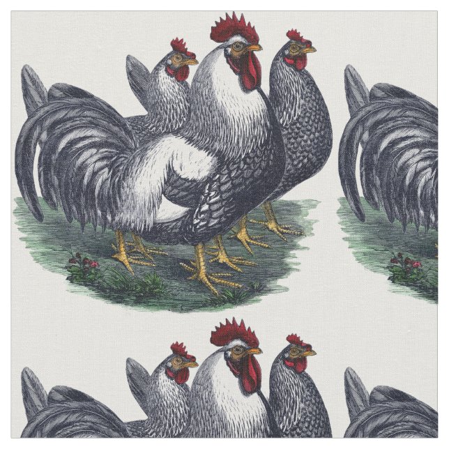 Tecido Vintage Chicken Trio (Detalhe)