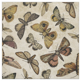 Tecido Vintage Moths