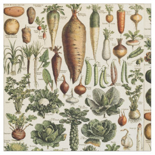 Tecido Vintage Vegetable Art de Adolphe Millot