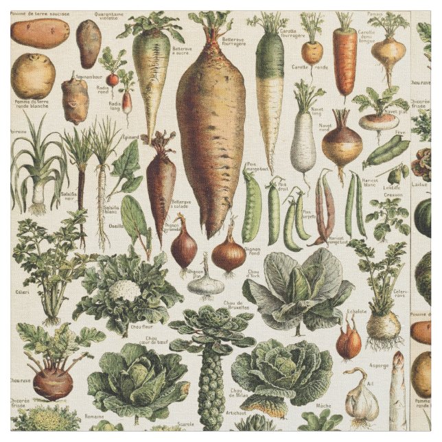 Tecido Vintage Vegetable Art de Adolphe Millot (Detalhe)