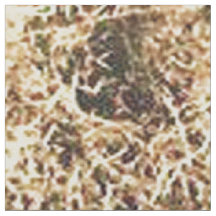 Vintage Western Cowboy Watering Horse - Lg Impress