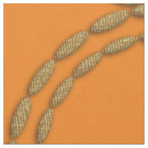 Visita de Feriados Dourados