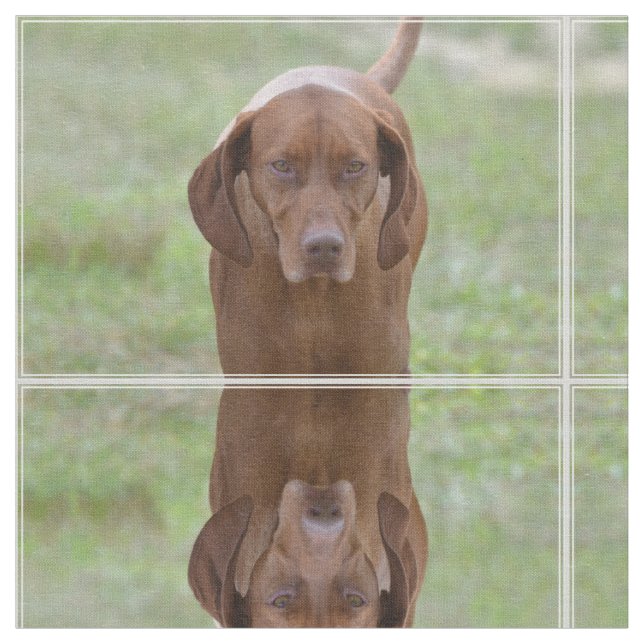 Tecido Vizsla adorável (Detalhe)