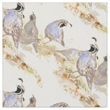 Watercolor California Quail Bird Nature Art